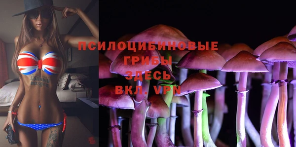 mix Белокуриха