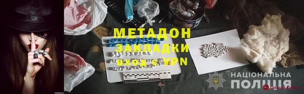 прущие грибы Тавда