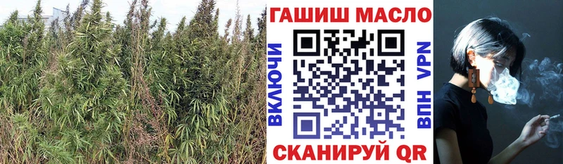 цена наркотик  Краснотурьинск  гидра ONION  ТГК концентрат 